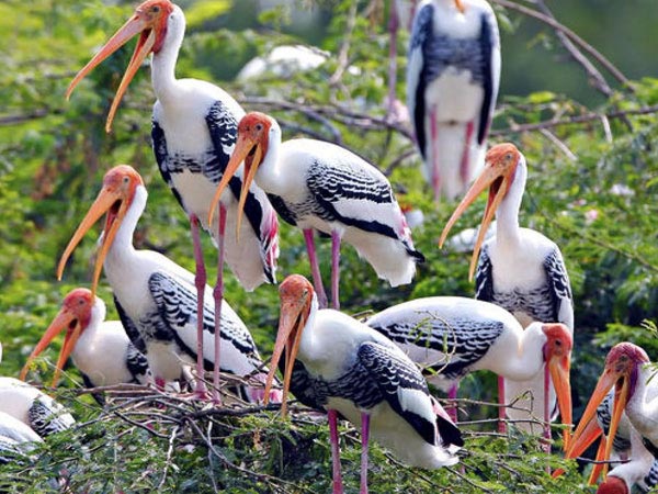 keoladeo National Park